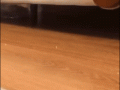 tumblr_nzbs8b88Pq1tlb56zo1_400.gif